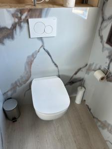 a bathroom with a white toilet in a room at De oude stal in Sleen