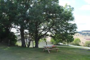a picnic table in the grass under a tree at Gîte Du Mas De La Font in Meyrueis +3 photos