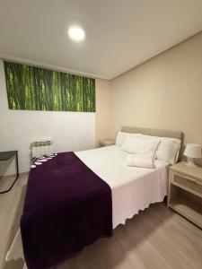 a bedroom with a large bed with a purple blanket at Apartamento Kalea Dany in Vitoria-Gasteiz