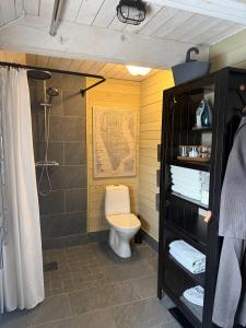 ein Badezimmer mit Toilette und Dusche in der Unterkunft Studio Sommar in Glemmingebro