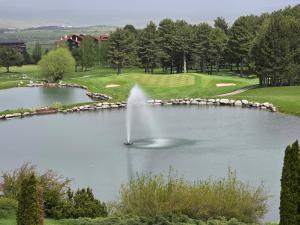 a pond with a fountain in the middle of it at Tranquility Apartment Pirin Golf in Razlog +19 photos