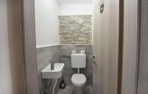 a bathroom with a toilet and a sink at Comfortable vacation retreat with parking in Plovanija +18 photos