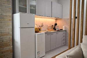 a kitchen with white cabinets and a refrigerator at Ana Central Studio in Smederevo +23 photos