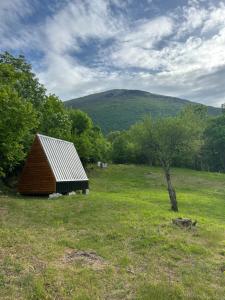 a wooden barn in a field with a tree at OffGrid Retreat Rtanj in Boljevac