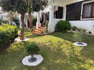 a yard with two trees and a house at Cabo garden in Cabo Negro