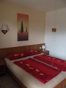 a bedroom with a bed with a red blanket on it at Remser Haus in Zalakaros