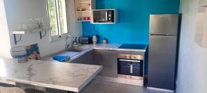 a kitchen with a refrigerator and a sink at Cocon Kréyòl in Sainte-Anne +11 photos