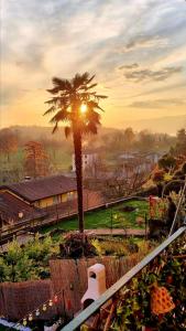 a palm tree in front of a house with the sunset at Casa Enzo in Besozzo