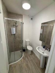 a bathroom with a shower and a toilet and a sink at Leitrim Property Cork in Cork +30 photos