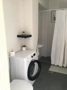 a bathroom with a washing machine and a toilet at Emese Apartman in Hajdúszoboszló