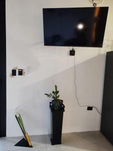 a tv hanging on a white wall with a plant at Casa Congo Puerto Viejo in Puerto Viejo