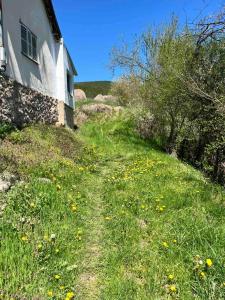 a dirt road next to a house with yellow flowers at Kuca Lula Stara planina in Pirot