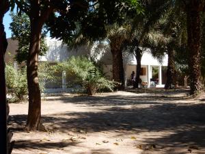 un grupo de árboles frente a un edificio en Contany Counda, en Abémé