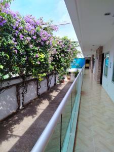 a corridor of an office building with flowers on a wall at Hotel River City in Montería