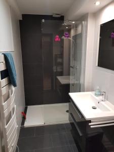 a bathroom with a shower and a sink at Les Toits d'Hélène in Ammerschwihr +8 photos