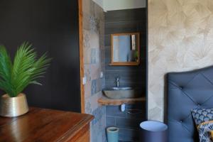 a bathroom with a sink and a mirror at Le Reflet de la Semoy in Les Hautes-Rivières +38 photos