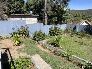 a garden with some plants and a fence at 3 bedroom house with a mountain view in Mbeya +13 photos
