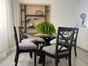 a dining room table and chairs with a plant on it at Cerca de todo en San Jerónimo in Monterrey