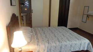 a bedroom with a bed and a lamp and a mirror at Residencial De Rosas in Santiago +37 photos