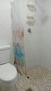 a bathroom with a toilet and a shower curtain at Residencial De Rosas in Santiago