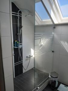 a shower with a glass door in a bathroom at Dreiflüsse Appartement - Traumgarten mit Grill und Pavillon, WLAN, Küche und Parkplatz in Salzweg