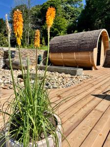 a planter with flowers in front of a wooden deck at Ty Toralann in Guipavas