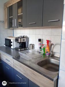 a kitchen counter with a sink and a microwave at Central city house in Tulcea +13 photos