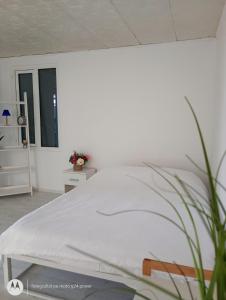 a bedroom with a white bed and a plant at Central city house in Tulcea