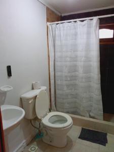 a bathroom with a toilet and a sink at Departamento Los Ñires in Yacimiento Río Turbio