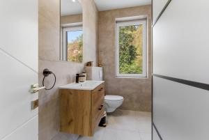 a bathroom with a sink and a toilet at Panorama Apartments an der Seilbahn unterhalb der Albrechtsburg - Parkplatz und Wi-Fi - FREE in Meißen +81 photos