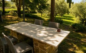 a stone table and chairs in a yard at Il Sottolo in Florence