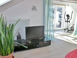 TV a/nebo společenská místnost v ubytování Ferienwohnung Pickenhan