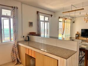 a kitchen with a large counter top in a room at EcoDream Lodge in Hermitage Island