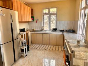 a kitchen with a refrigerator and a sink at EcoDream Lodge in Hermitage Island +7 photos