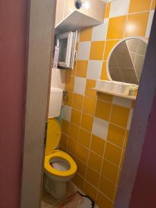 a bathroom with a yellow toilet and a mirror at Vikendica Bakino krilo in Železnička Stanica Apatin +19 photos