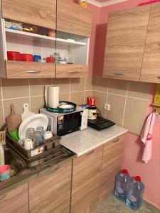 a kitchen with a stove and a microwave at Vikendica Bakino krilo in Železnička Stanica Apatin