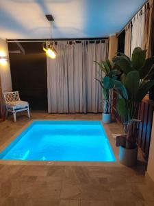 a blue swimming pool in a room with plants at Caribbean Lory in Puerto Viejo