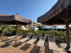 a row of chaise lounge chairs and umbrellas at a resort at Hotel Acquario in Campomarino