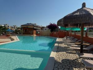 a swimming pool with chairs and umbrellas on a resort at Hotel Acquario in Campomarino