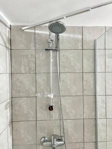a shower with a shower head in a bathroom at Andreana's Place Rhodes in Asgourou