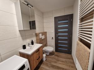 a small bathroom with a sink and a toilet at Vejminek 87 in Červená Třemešná