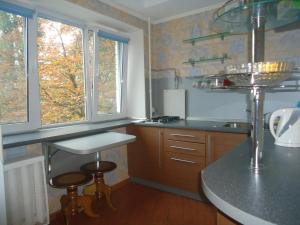 a kitchen with a counter and a sink and two windows at Studio on Vandy Vasylevskoi 8 in Kyiv
