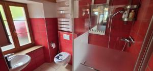 a red bathroom with a toilet and a sink at La Rochetta in Chatel sur Montsalvens +12 photos