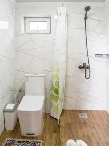 a bathroom with a toilet and a shower at Komay Yurt Camp Karakol in Karakol