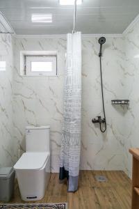 a bathroom with a toilet and a shower curtain at Komay Yurt Camp Karakol in Karakol