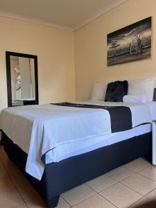 a bedroom with a large bed with a mirror at Ncotshane BnB in Pongola