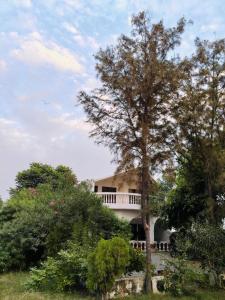 a house in the middle of some trees at Green Haven Farm & Events in Bhundsi