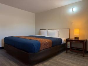a bedroom with a large bed and a table with a lamp at Ponca Motel in Abilene