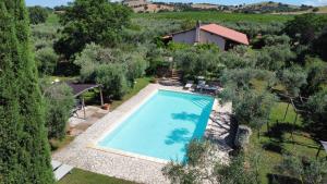 an overhead view of a swimming pool in a garden at Il Gaggiolo in Rispescia