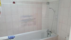 a shower with a glass door in a bathroom at Les Hortensias in Hillion +14 photos